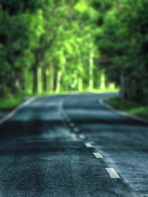 Forest Road Blur Picsart Editing Background Full HD Download