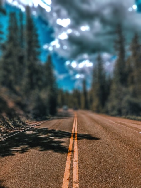 Forest Road Cb Editing Picsart Background Hd Download Cbeditz