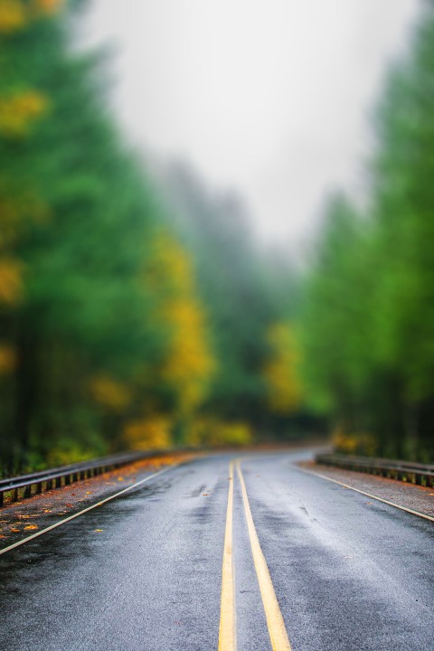 Forest Road CB Photoshop Editing Background Full HD Download - CBEditz