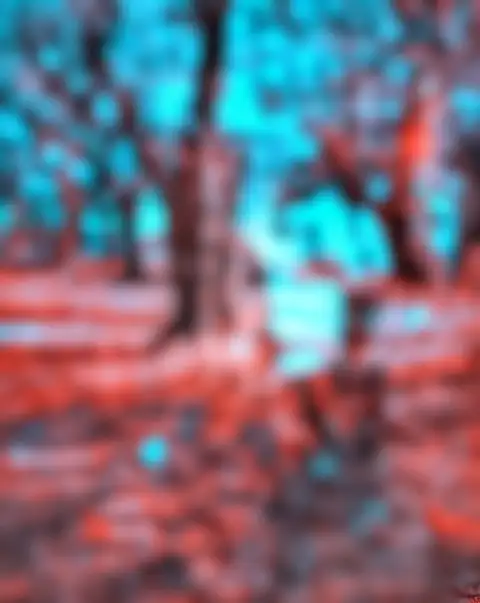 Forest Tree Blur CB Background Full HD Download