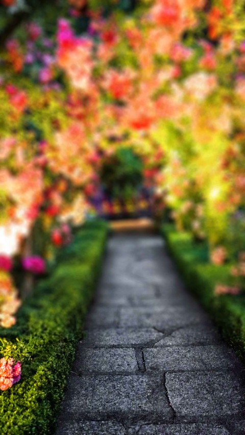 Garden CB Picsart Editing Background HD Download - CBEditz