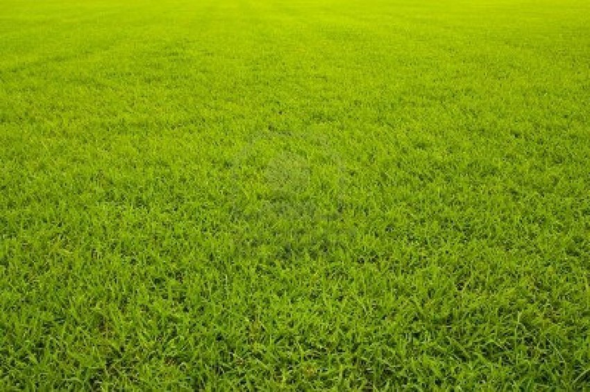 Grass Background High Resolution Images Photos Download
