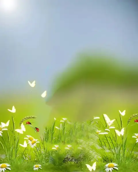 Grass Butterfly PicsArt Photo Editing Background HD Download