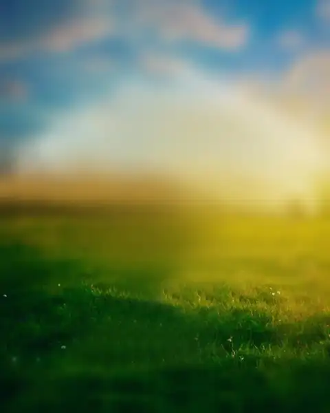 Grass Field PicsArt Editing Background Full HD Download