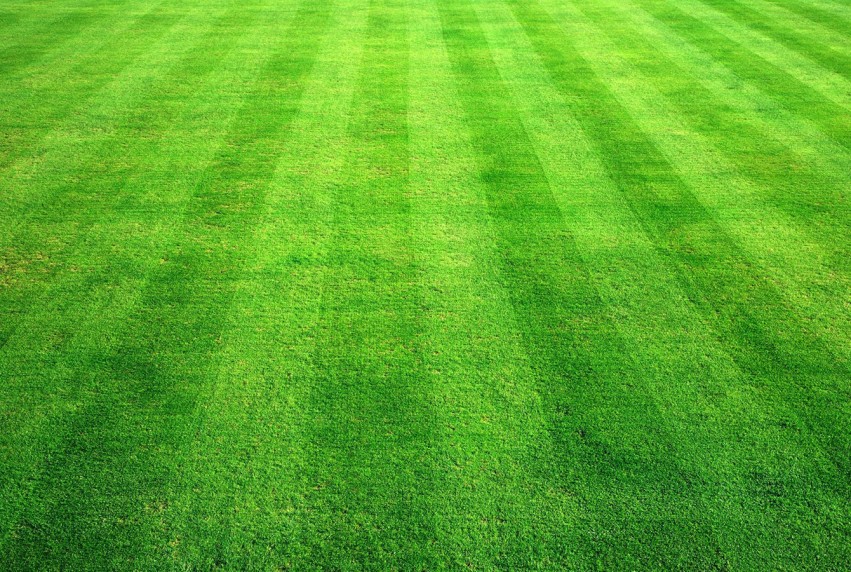 Grass Flat Background Images Photos Download