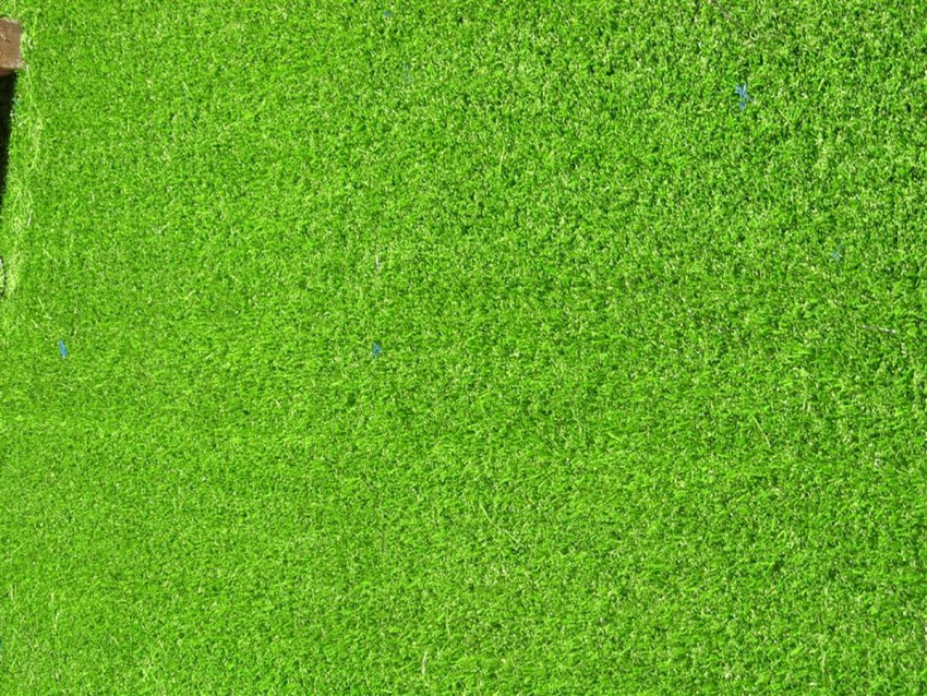 Grass Free Background Images Photos Download