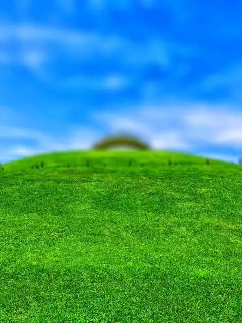 Grass Green Field CB Picsart Editing Background HD