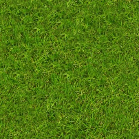 Grass Hig Quality Background Images Photos Download