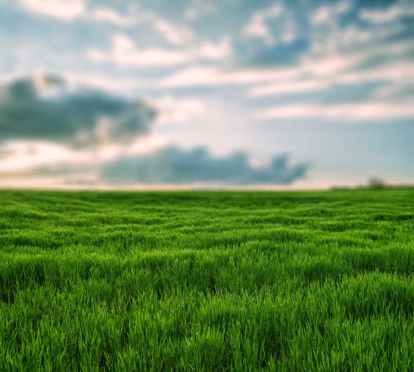 Grass With Sky CB  Editing Background Full HD Download