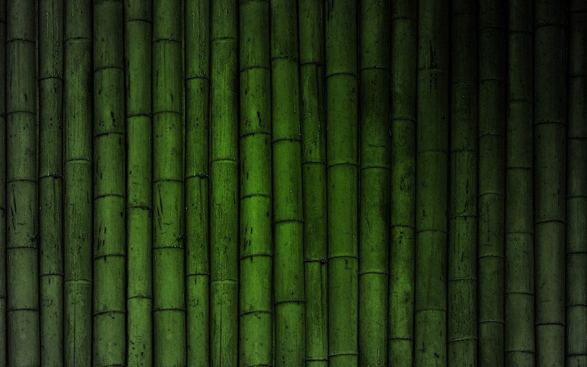 Green Bamboo Background High Resolution Download