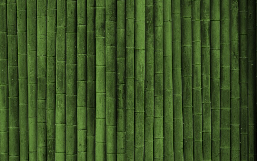 Green Bamboo Background High Resolution Images