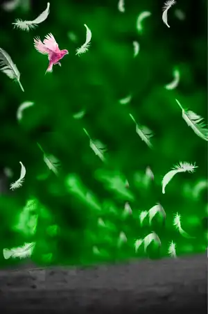 Green Bird Flying Snapseed Background HD Download