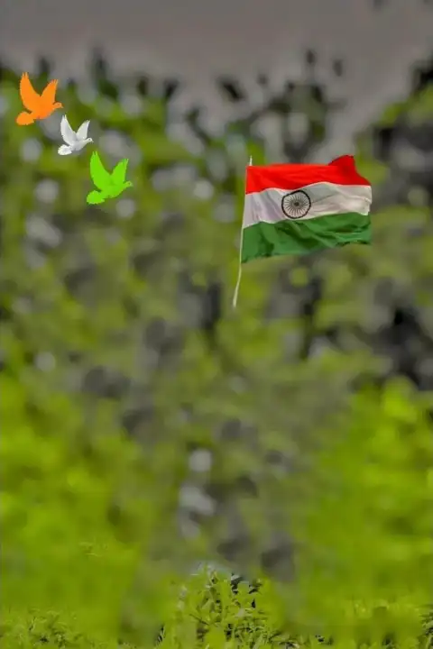 Green Blur CB Independence Day Editing Background HD For 15 August