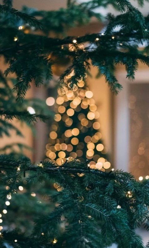 Green Christmas Tree Wallpaper Background HD Download - CBEditz