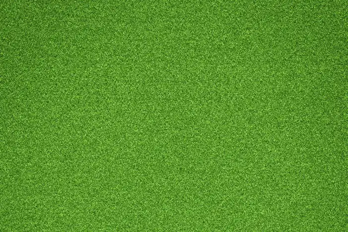 Green Editing Grass Field Background HD Images Free