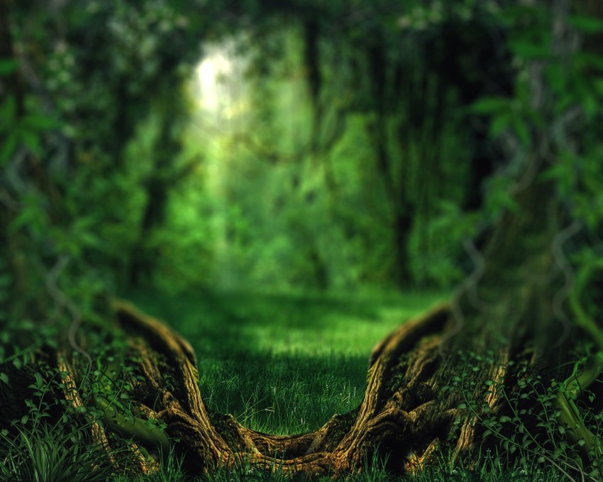 Green Forest Tree CB Editing Background Full HD Download