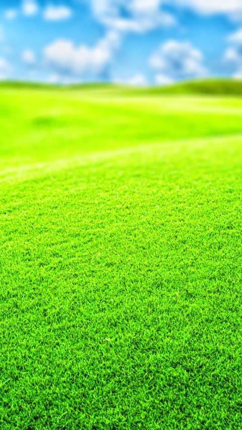 Green Grass Blur Picsart Editing Background Full HD
