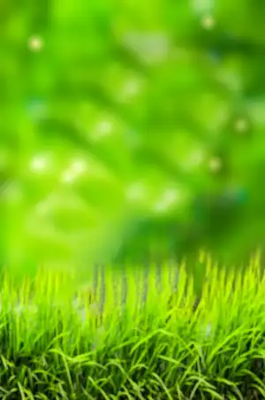 Green Grass Blur Snapseed Background HD Download