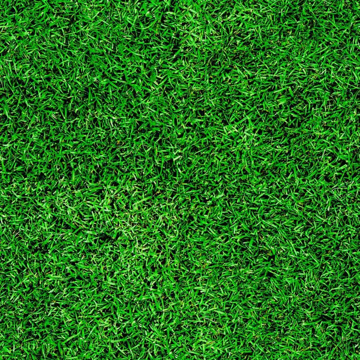 Green Grass Field Texture Editing Background HD Images Free
