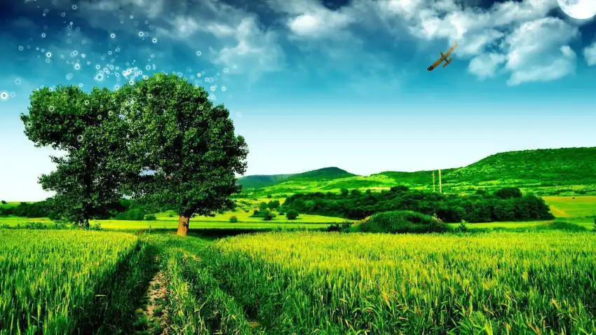 Green Grass Field With Sky Background HDDownload