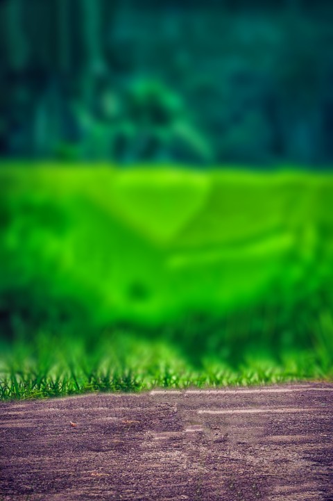 Green Nature CB Editing Background Full HD Download