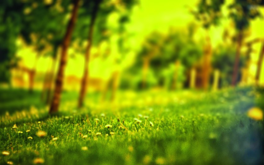 Green Nature Tree CB Editing Background Full HD Download