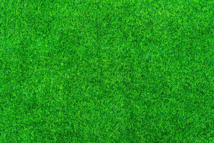 Green Real Grass Field Editing Background HD Images Free