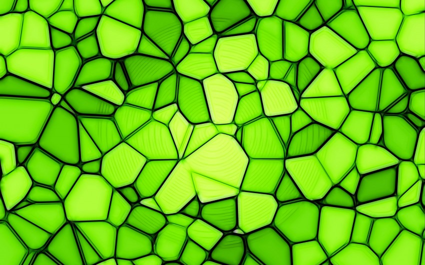 Green Texture Background Wallpaper HD