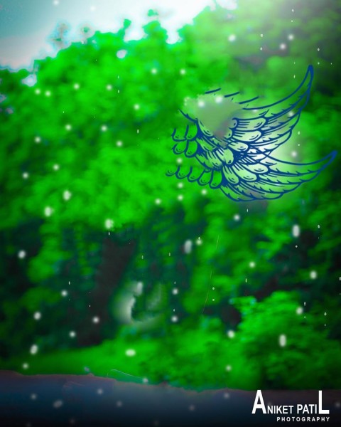 Green Wings Editing CB Background
