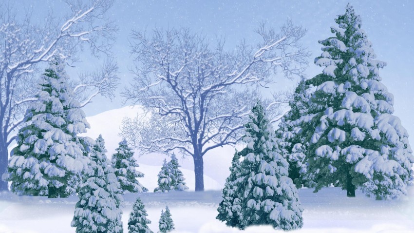 Green Winter Tree Wallpaper Background HD Download