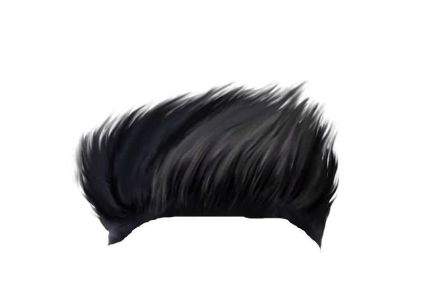 Hair High Resolution PNG Images Download