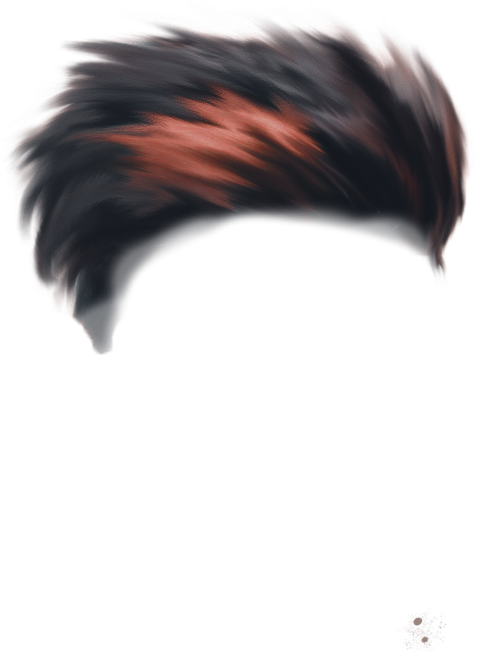 Hair PNG File Transparent Background HD