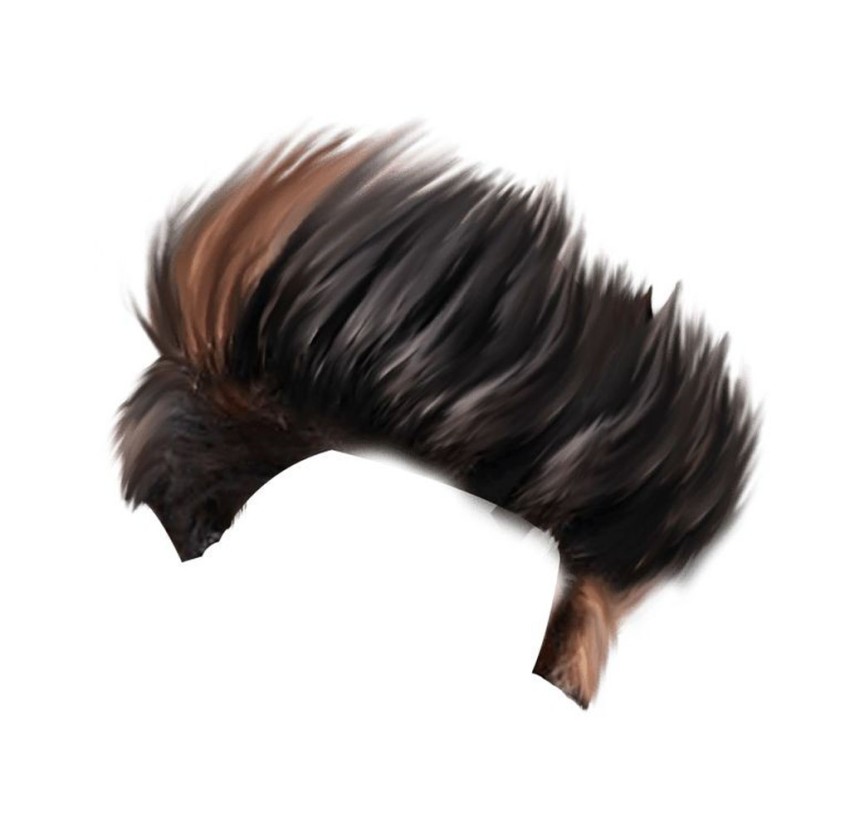 Hair PNG Images Download For CB Editing
