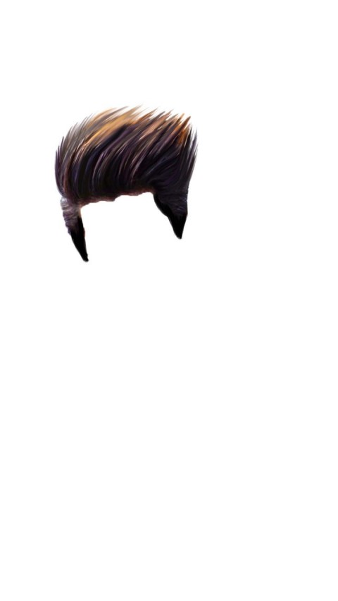 Hair PNG Images Transparent Background HD