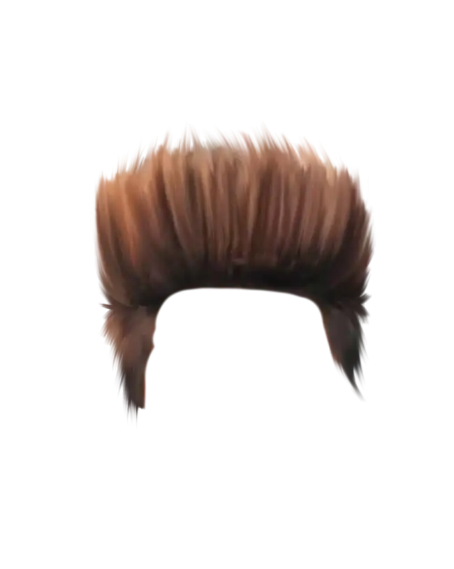 Hair PNG Images Transparent Download