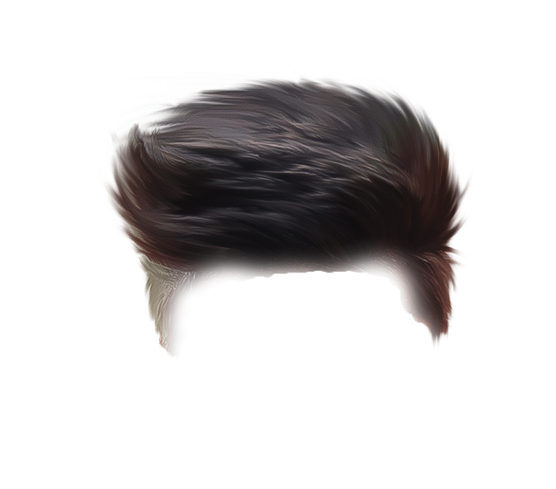Hair PNG Transparent Images Download Free