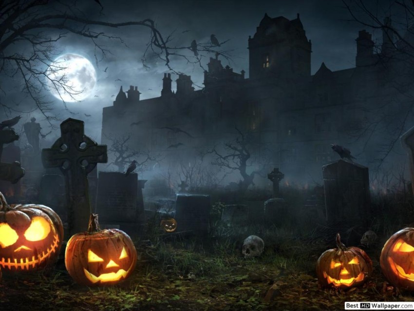 Halloween Banner HD Background Wallpaper Download