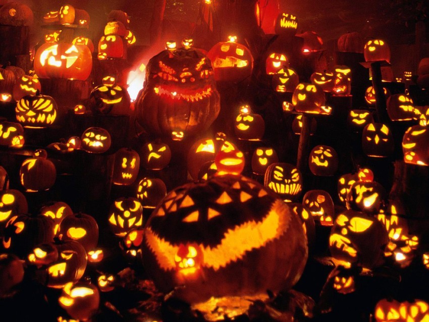 Halloween Pumpkin HD Wallpaper Background