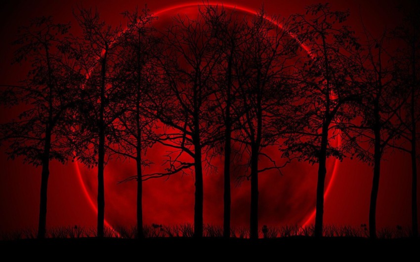 Halloween Red Wallpaper Background HD