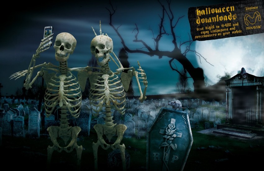 Halloween Skeleton HD Wallpaper Background Pic