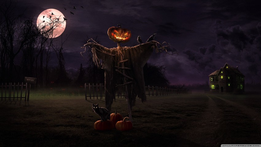🔥 Happy Halloween Pumpkin Background Wallpaper | CBEditz