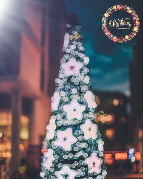 Happy Merry Christmas Tree CB Picsart Editing Background