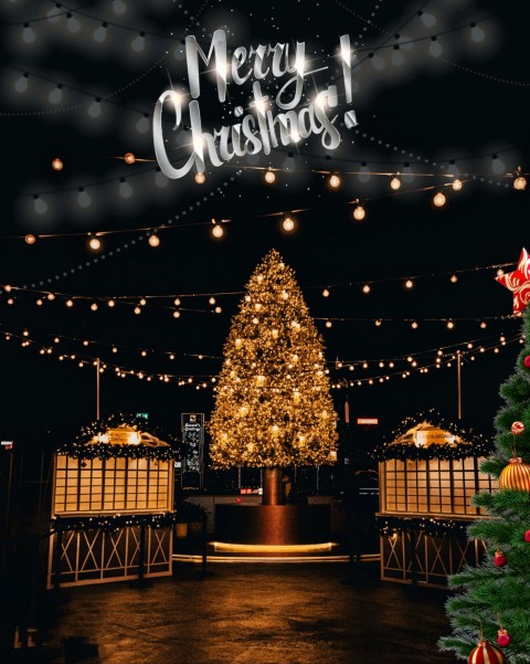 Happy Merry Christmas Tree CB Picsart Editing Background