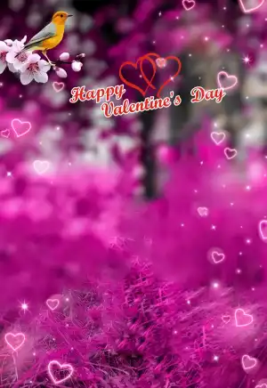 Happy Valentine Day Editing Background For Picsart