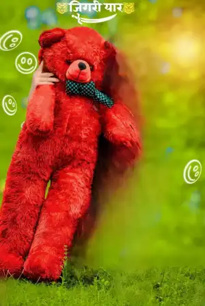 Happy Valentine Day Teddy Bear Editing Background