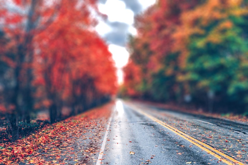 Highway Forest Tree Cb Picsart Background Full Hd Download Cbeditz