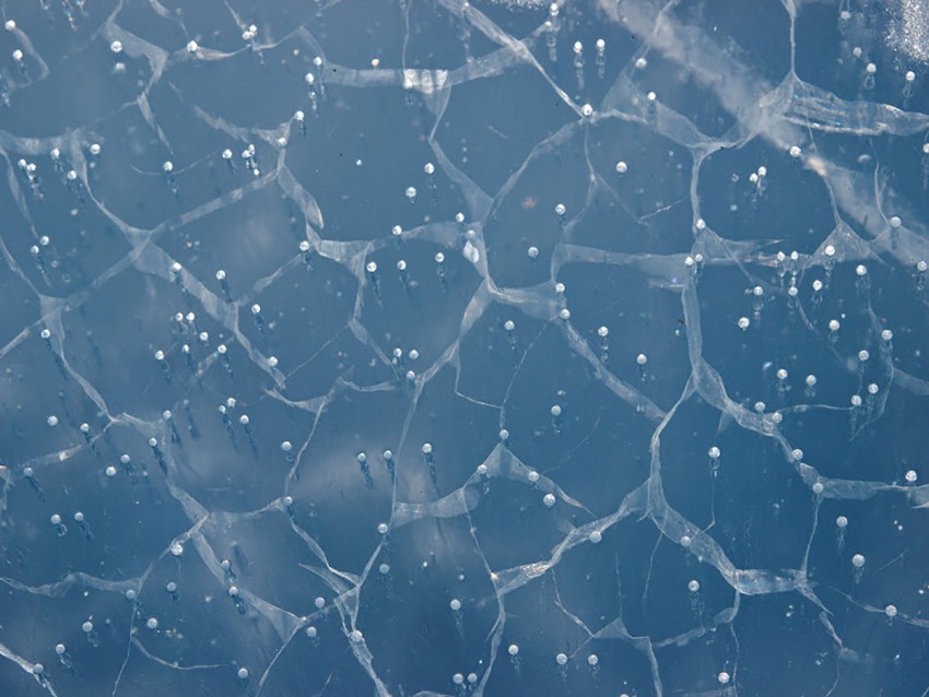 Ice Crack Background Full HD Images Download