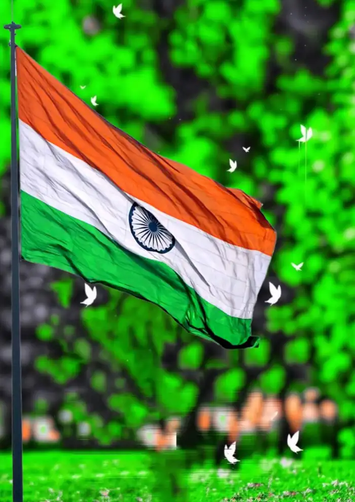 Indian Flag Independence Day 15 August Photo Editing Background