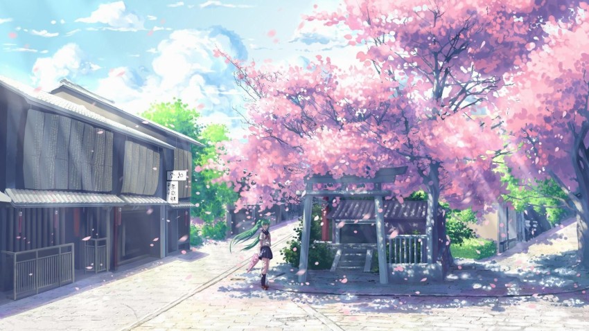 Anime Sakura Tree Anime Scene Background Anime Anime Scene Sky Background  Image And Wallpaper for Free Download