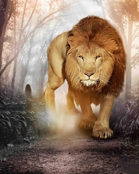 Lion Editing CB Background Download